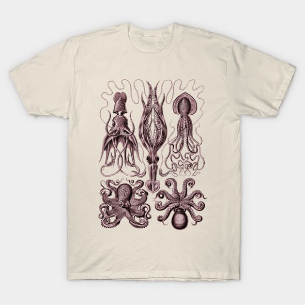 Ernst Haeckel Gamochonia Octopus Red T-Shirt by Scientistudio